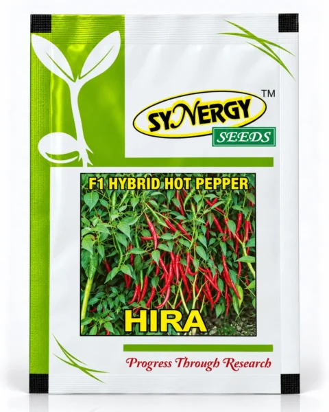 Heera hybrid chilli seed packet
