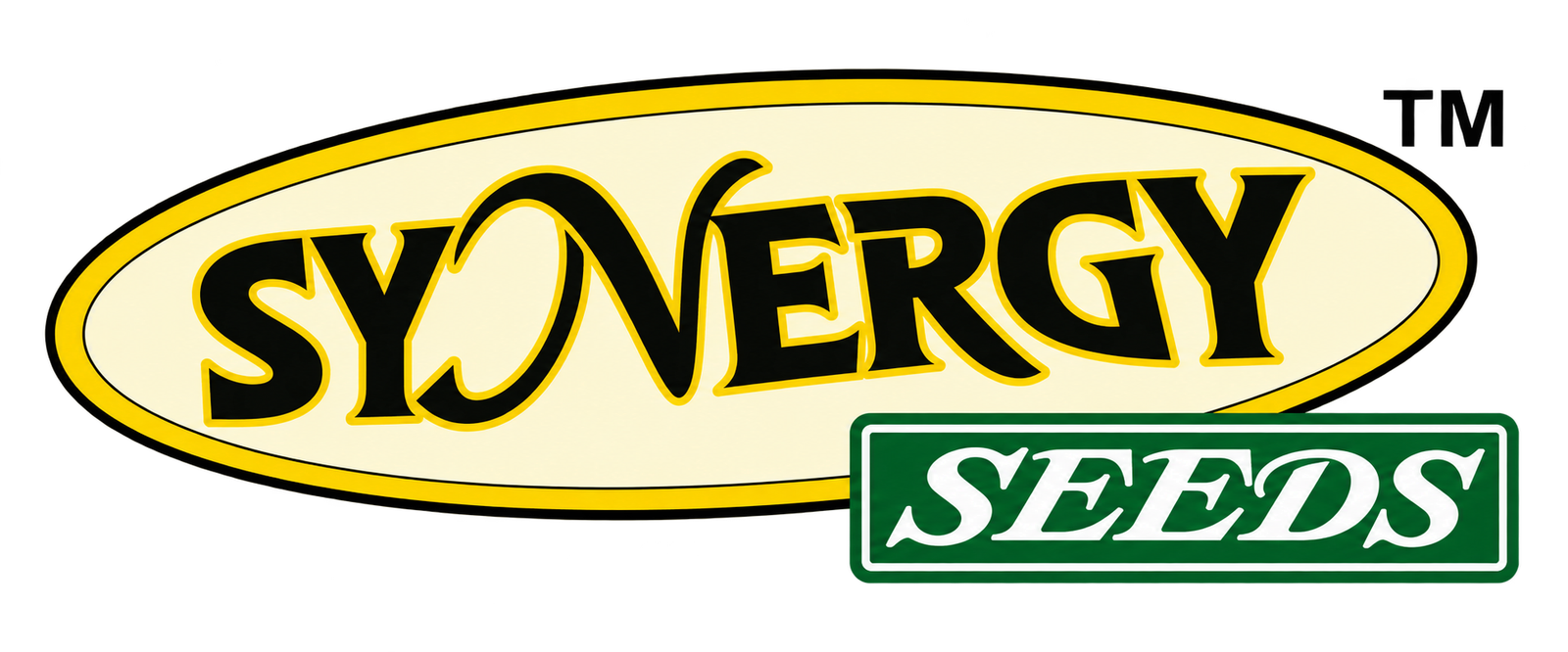 Synergy Seeds India Private Limited