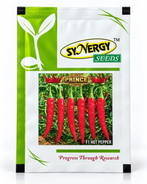 Synergy Prince hybrid chilli seed packet