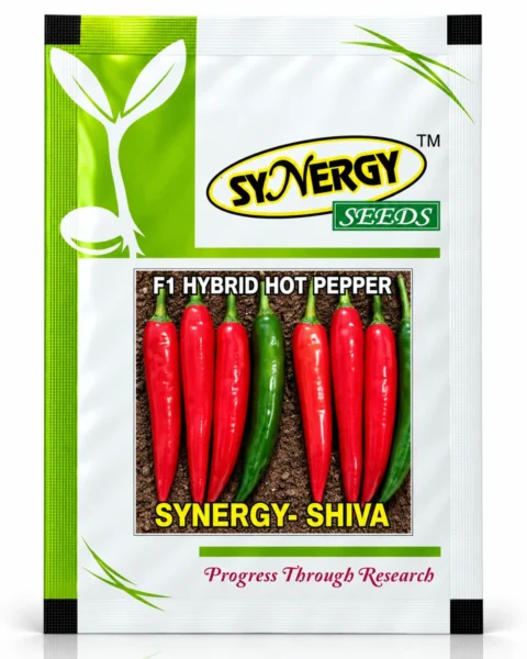 Synergy Shiva hybrid chilli seed packet