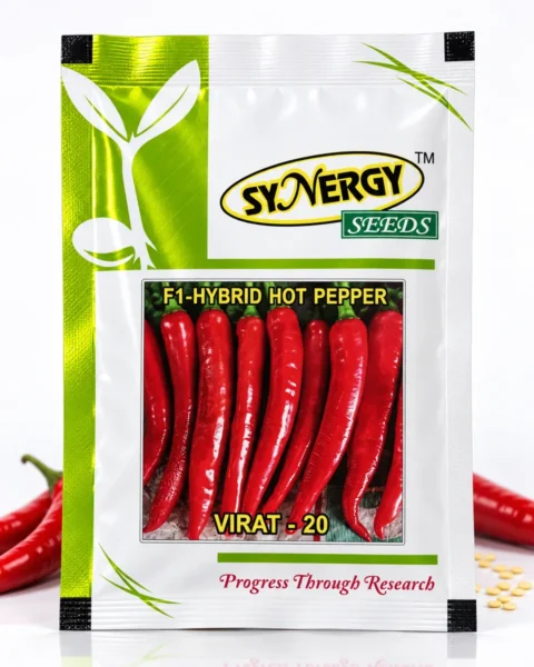 Virat 20 hybrid chilli seed packet
