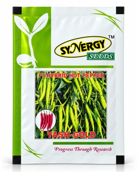 Yash Gold hybrid chilli seed packet
